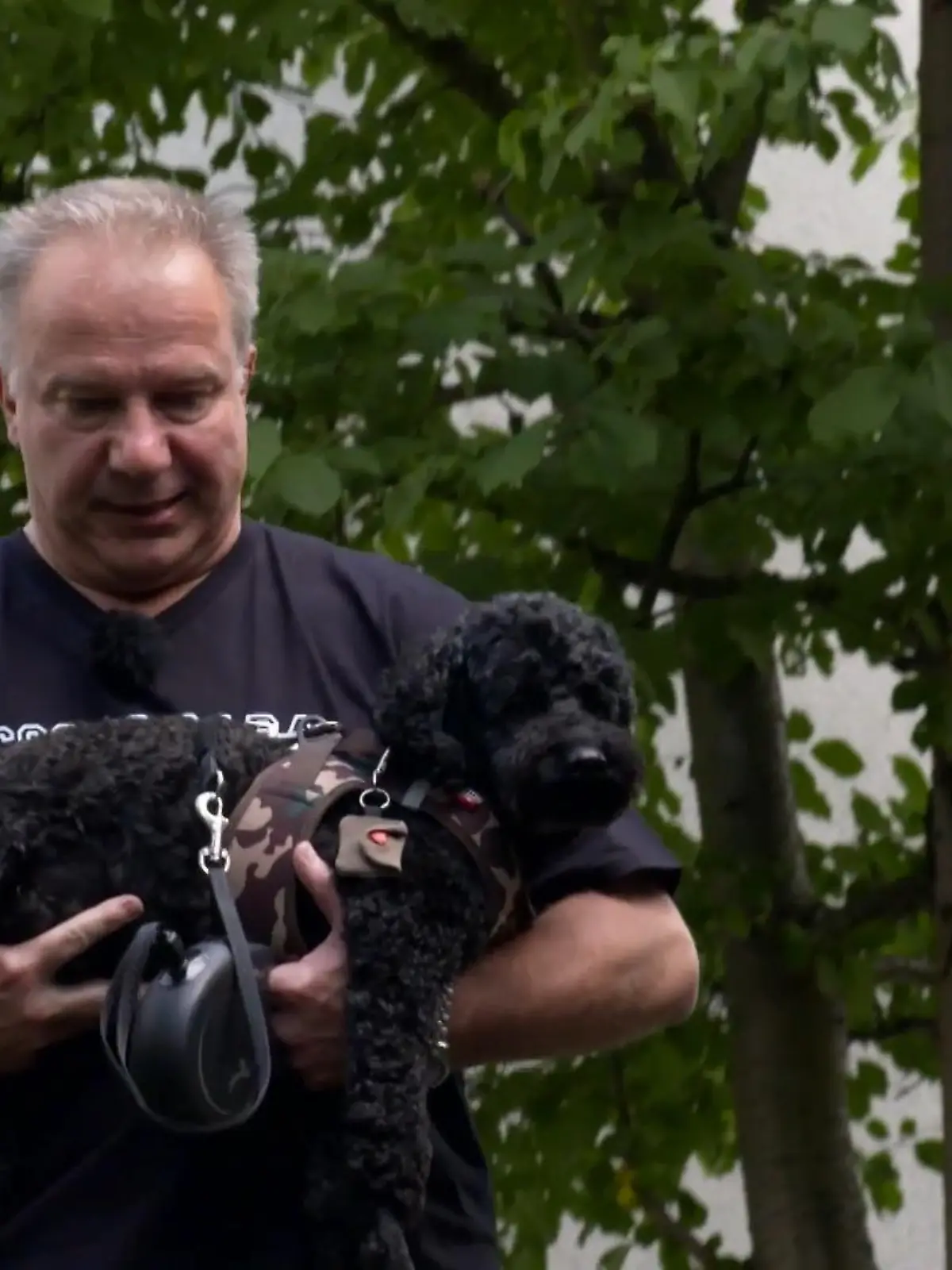 Bild zu: "Pudeldame Coco geht mit Herrchen keinen Millimeter Gassi"