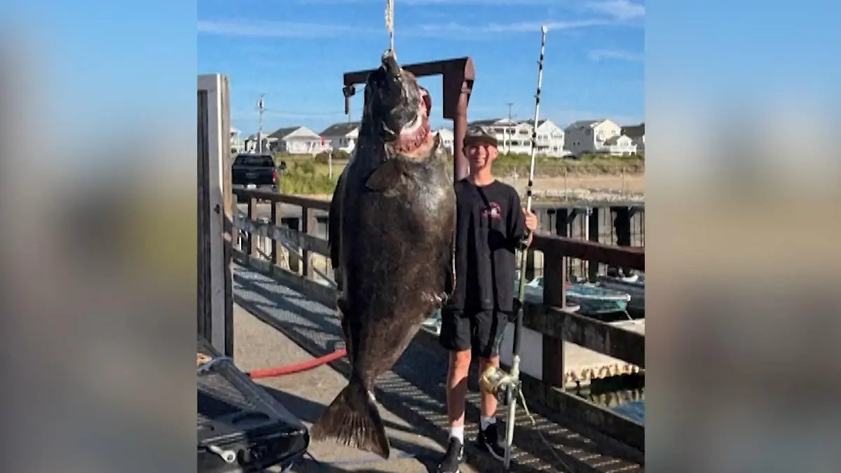 Gigantischer Fang! Jackson (13) angelt 80 Kilo Heilbutt aus Atlantik „Ich wusste nicht, was passiert"