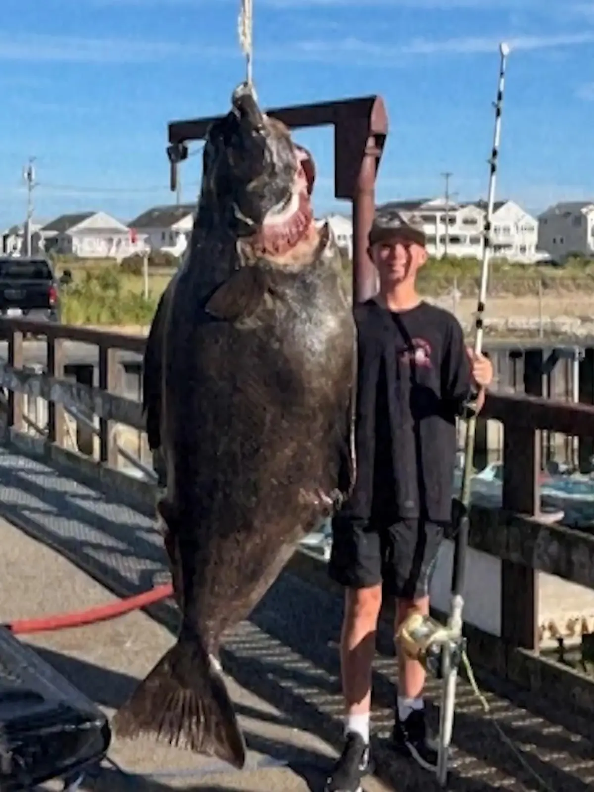 Bild zu: "Gigantischer Fang! Jackson (13) angelt 80 Kilo Heilbutt aus Atlantik"