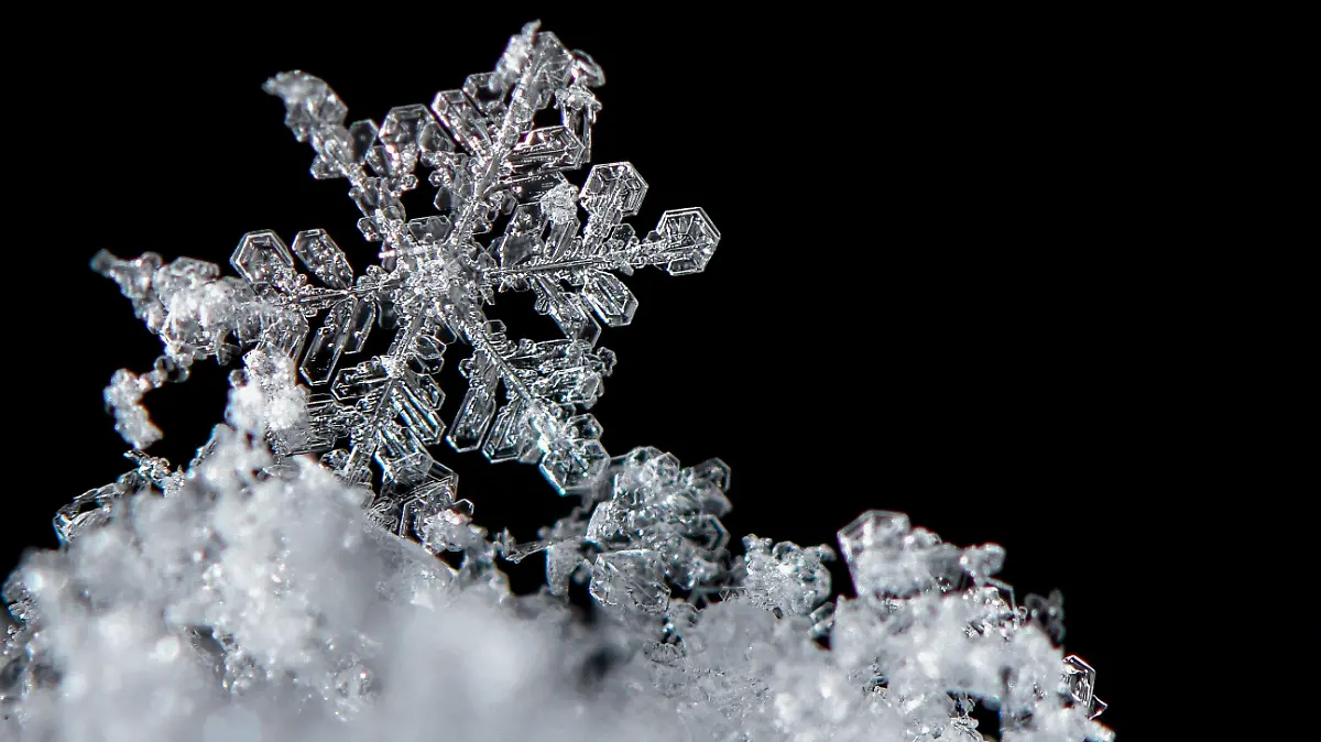 ARCHIV - 08.02.2021, Brandenburg, Sieversdorf: Ein Schneekristall, auch Schneeflocke genannt, liegt auf dem Boden im frisch gefallenen Schnee. Winzige Wasserteilchen und Staubkörner spielen die entscheidenden Rollen, wenn es um die Entstehung von Schneeflocken geht. Wie diese schließlich aussehen, hängt von vielen Dingen ab. (zu dpa "Faktencheck: Ist wirklich jede Schneeflocke einzigartig?") Foto: Patrick Pleul/dpa-Zentralbild/dpa +++ dpa-Bildfunk +++