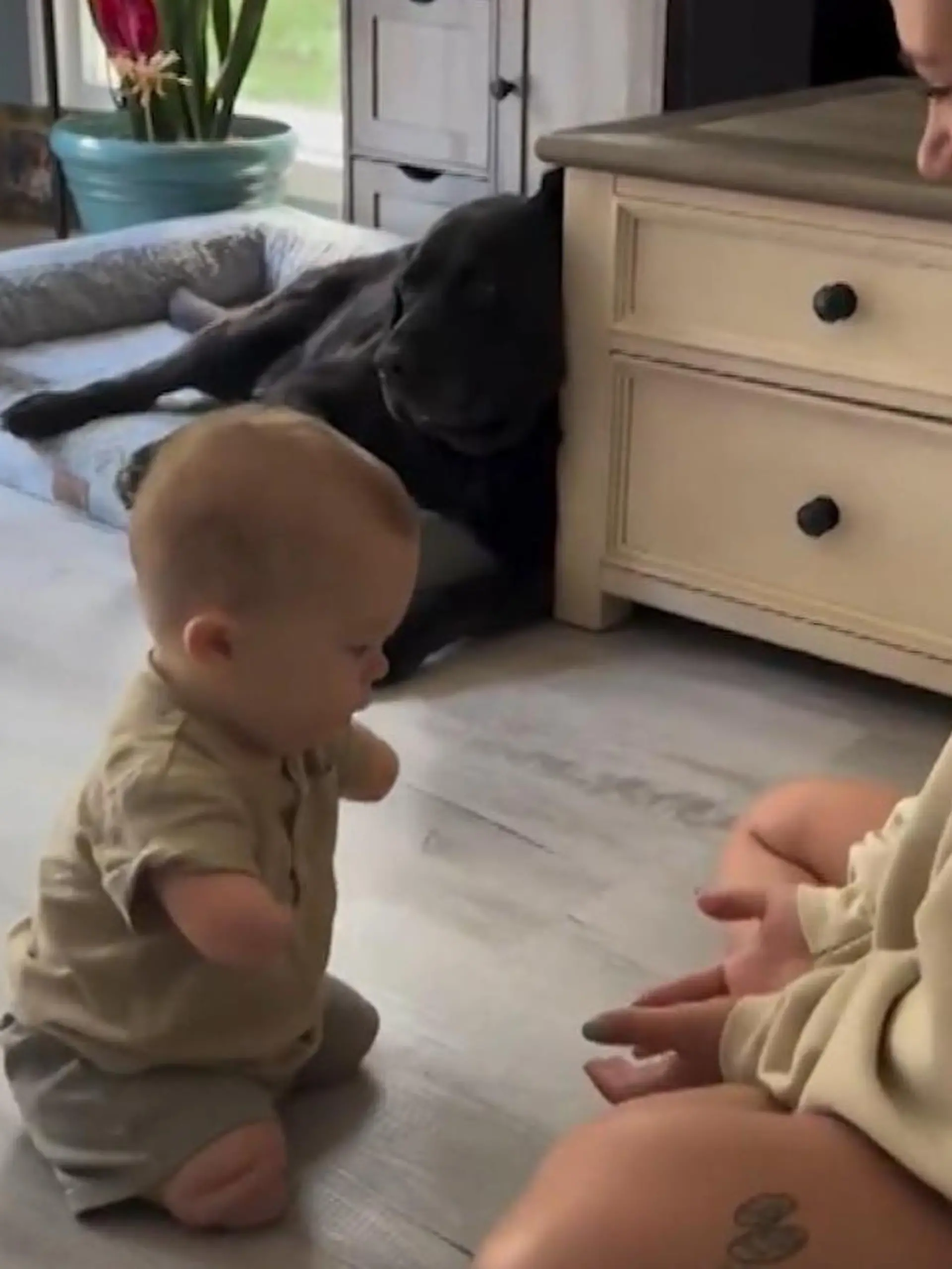 Bild zu: "Keine Arme, keine Beine! Hier macht Bryson (1) seine ersten Schritte"