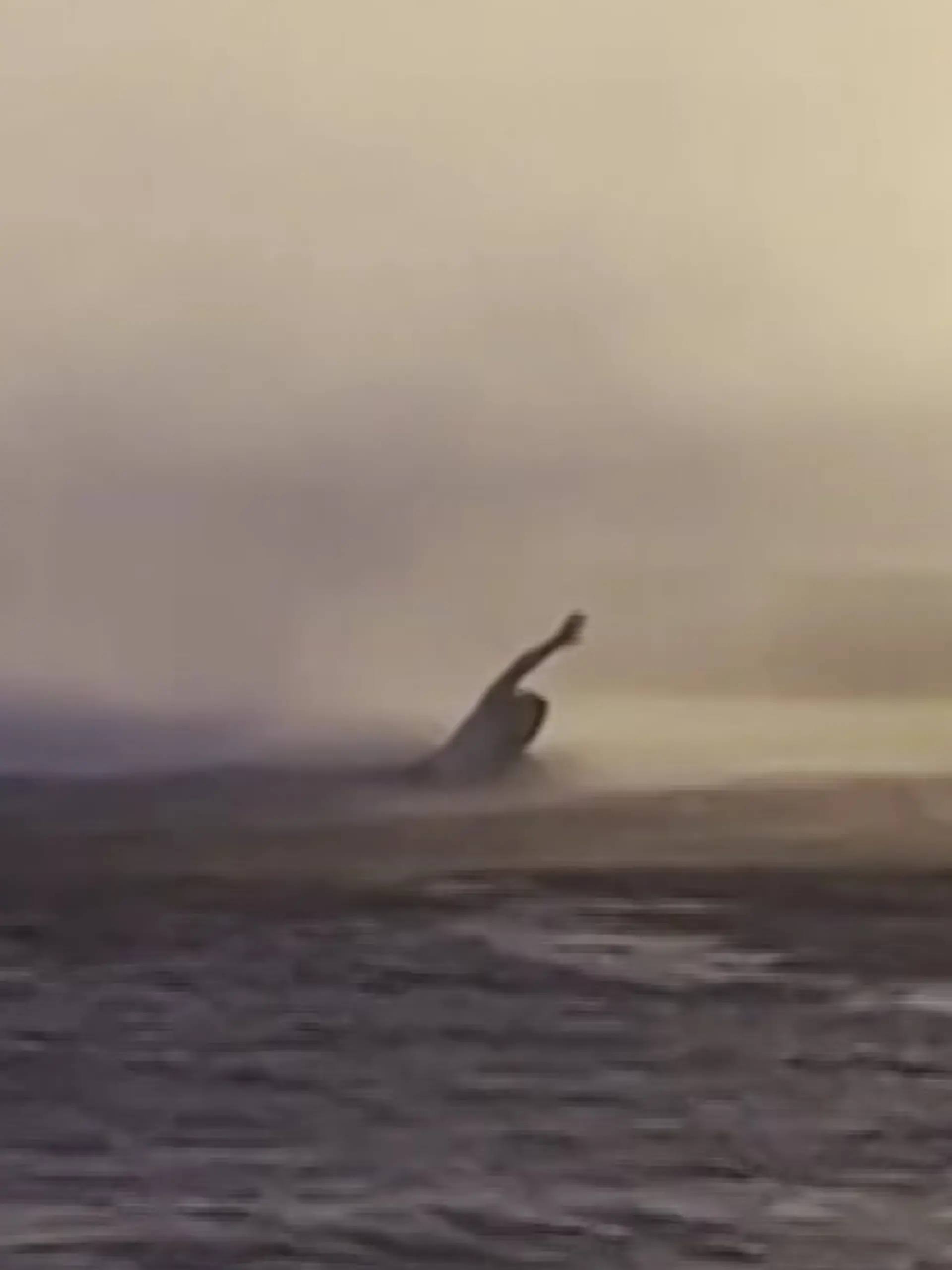 Bild zu: "Mit Badehose in die Wasserhose! Tornado trifft auf Küste – Mann rennt mitten rein"
