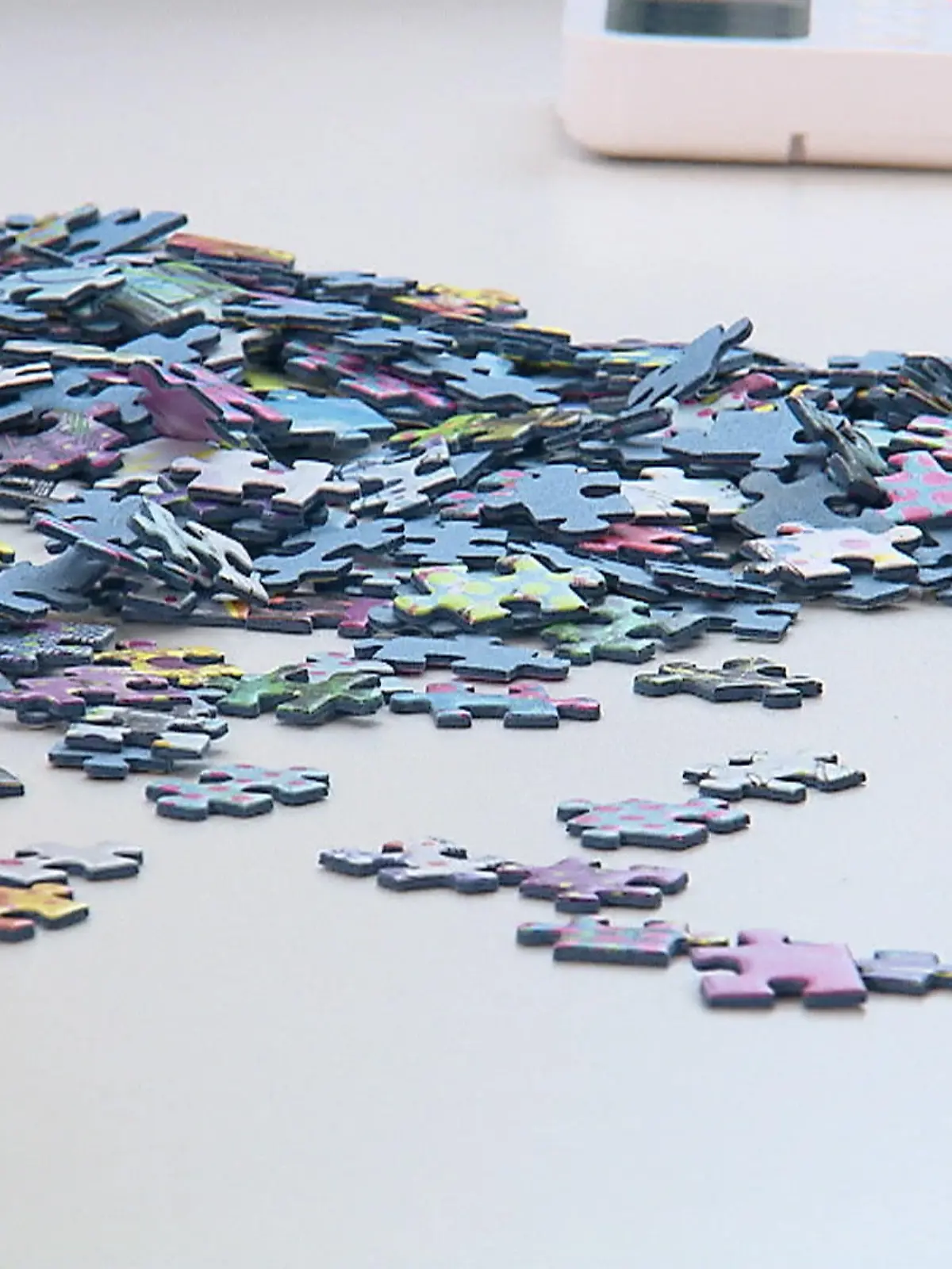 Bild zu: "Kölnerinnen bei Speedpuzzle-WM"