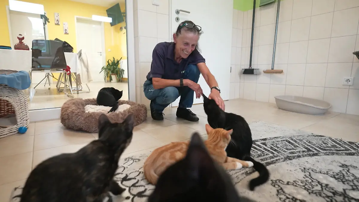 Tierheimleiterin Margret Kuhlmann kümmert sich liebevoll um ihre Schützlinge – trotz der Angst vor der tödlichen Katzenseuche.