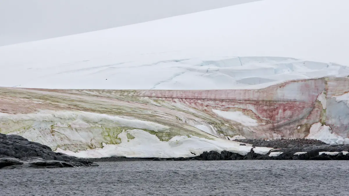 ATA, 2008: Durch Schneealgen rot und gruen gefaerbter Gletscher am Errera Kanal. [en] Snow algae coloring glacier at Errera Channel. | ATA, 2008: Snow algae coloring glacier at Errera Channel.