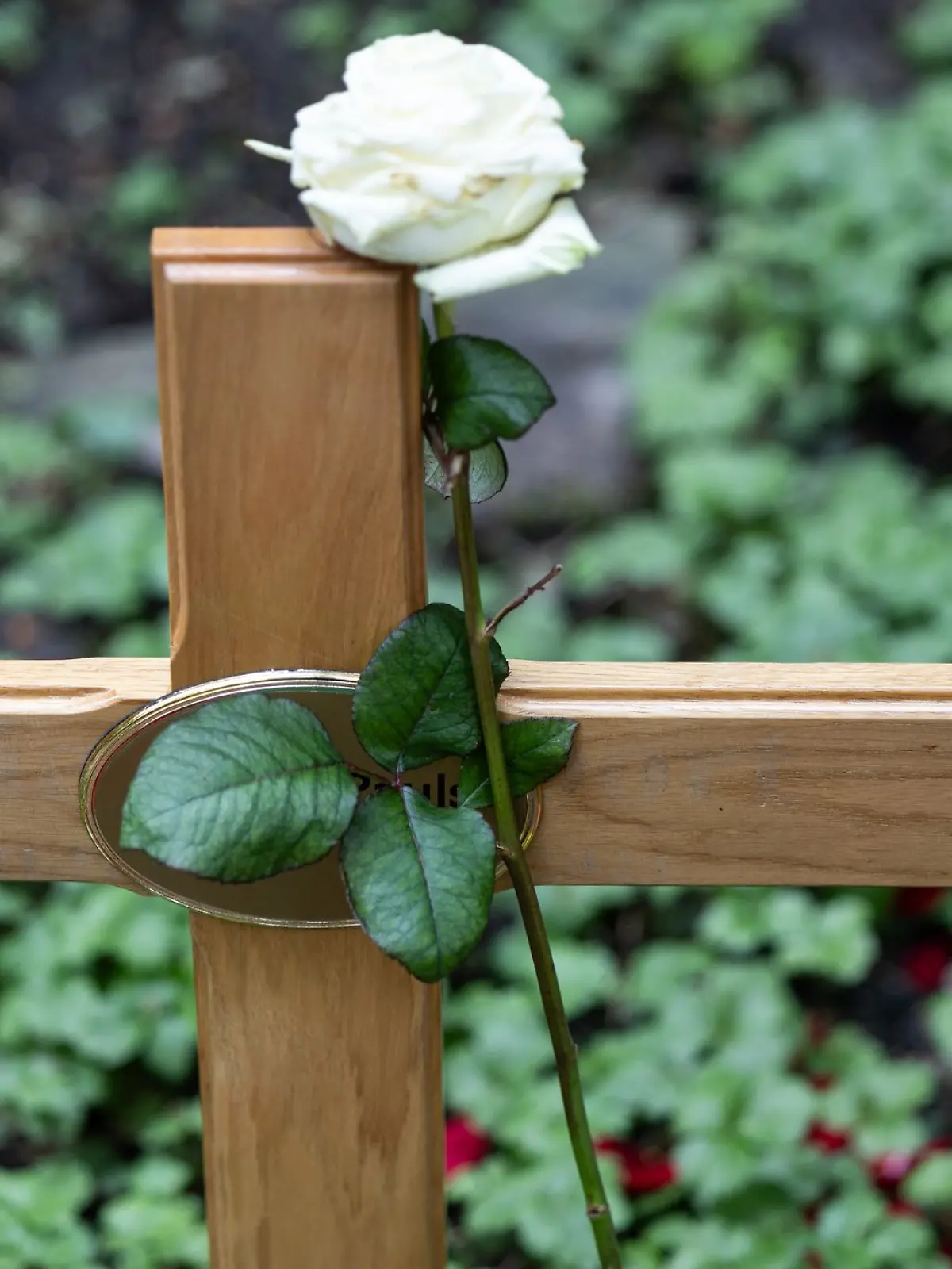 Bild zu: "Vater gesteht Mord an Tochter (18)! Doch wird er jemals dafür in Haft sitzen?"