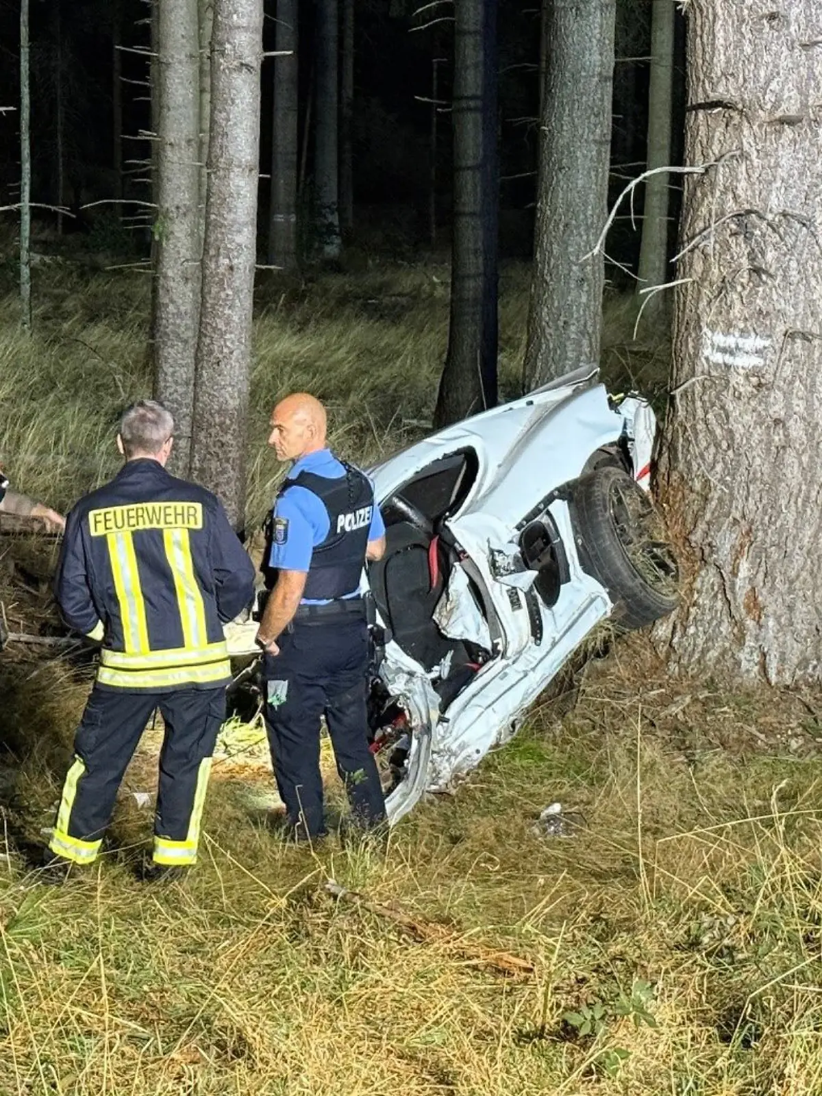Auto rast gegen Bäume - Zwei Tote