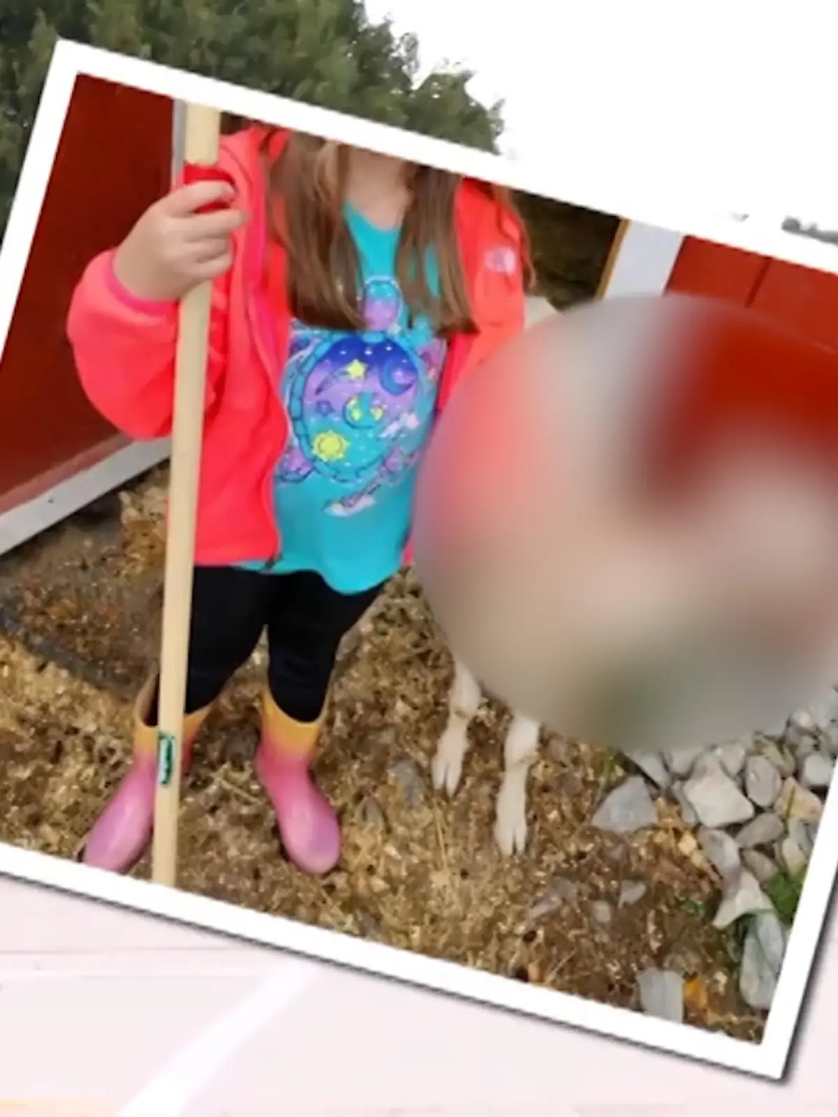 Bild zu: "Meckernder Internetstar! Mit diesem Foto erobert Ziege Jo das Netz"