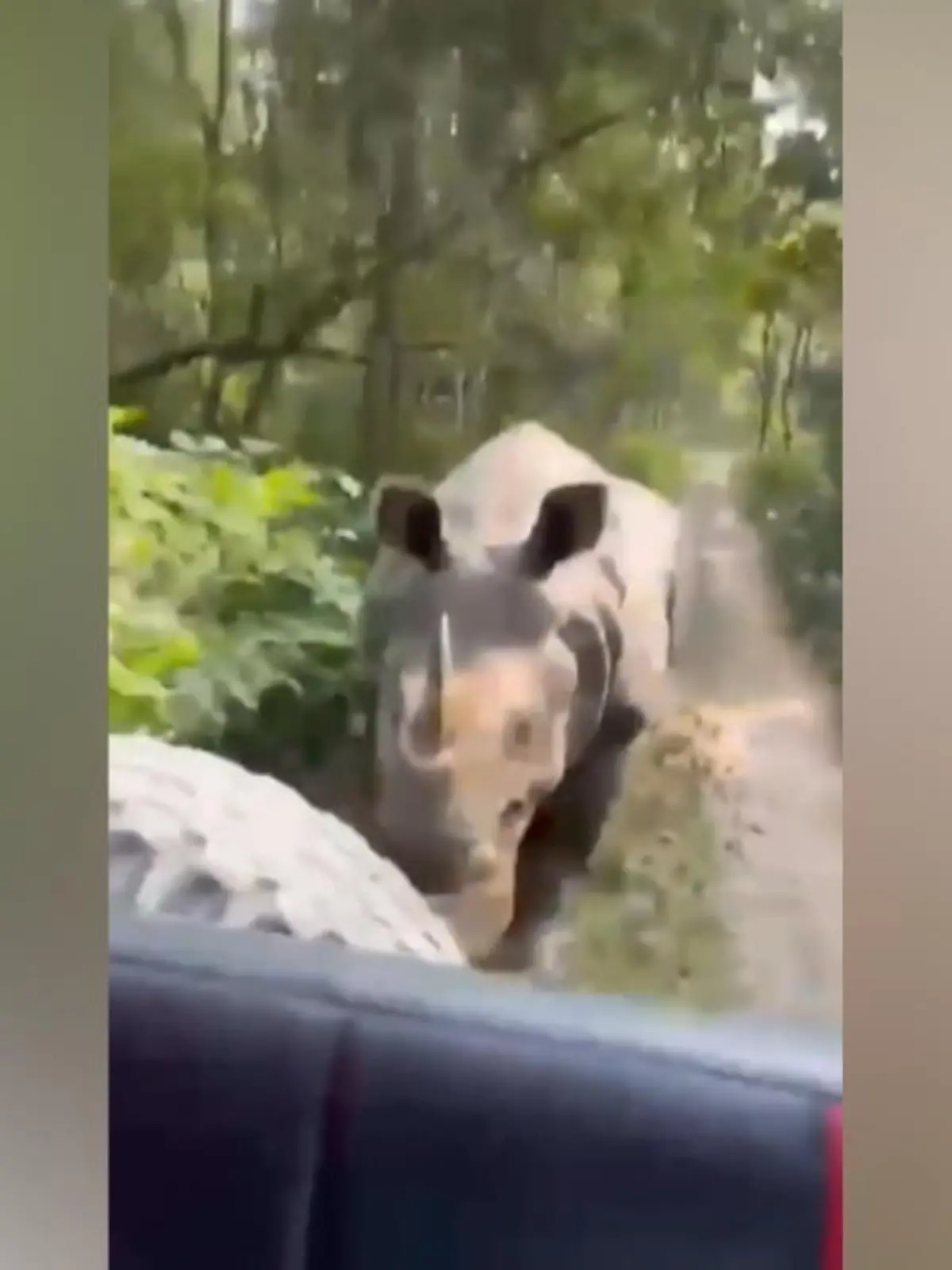 SO hat sich diese Touristengruppe in Indien ihre Safari wohl nicht vorgestellt. Denn mitten auf ihrer Rundfahrt attackiert sie ein Nashorn. Es verfolgt den Jeep über mehrere Minuten hinweg, bis ihm die Puste ausgeht und es vom Jeep ablässt - zum Glück für die Touristen.