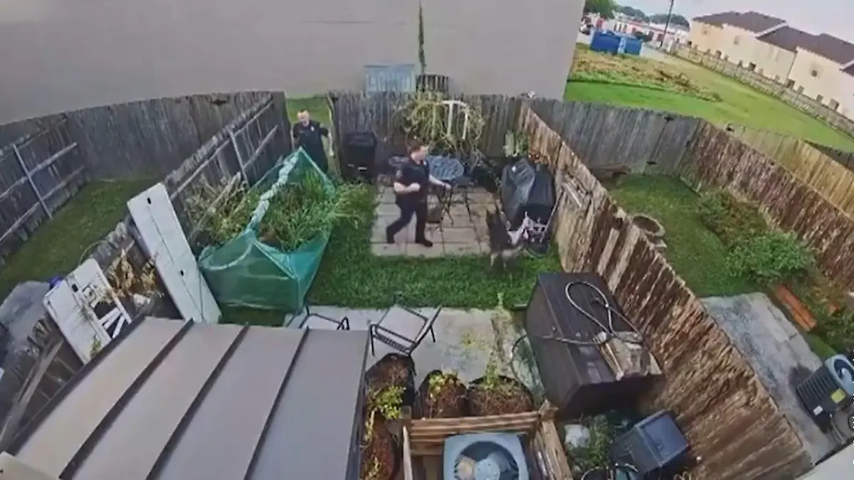 In diesem Bild versteckt sich ein Häftling – wer findet ihn? Polizei und Spürhund planlos