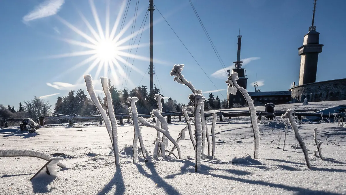 dpatopbilder - 17.01.2023, Hessen, Schmitten: Vom strahlend blauen Himmel scheint die Sonne auf die kleinen Äste auf dem Großen Feldberg im Taunus, die durch Raureif und Schnee bedeckt sind. Foto: Frank Rumpenhorst/dpa +++ dpa-Bildfunk +++