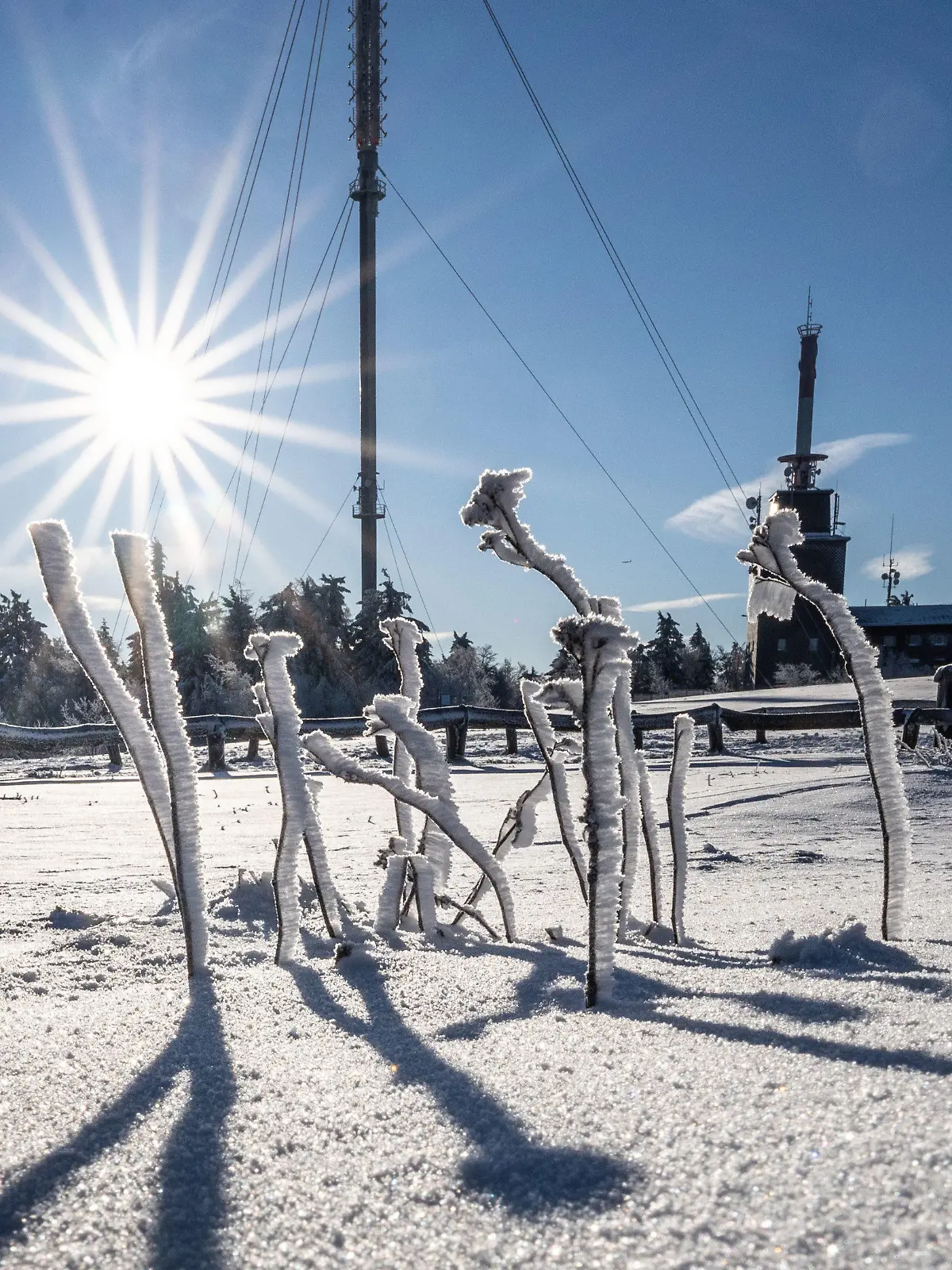 dpatopbilder - 17.01.2023, Hessen, Schmitten: Vom strahlend blauen Himmel scheint die Sonne auf die kleinen Äste auf dem Großen Feldberg im Taunus, die durch Raureif und Schnee bedeckt sind. Foto: Frank Rumpenhorst/dpa +++ dpa-Bildfunk +++