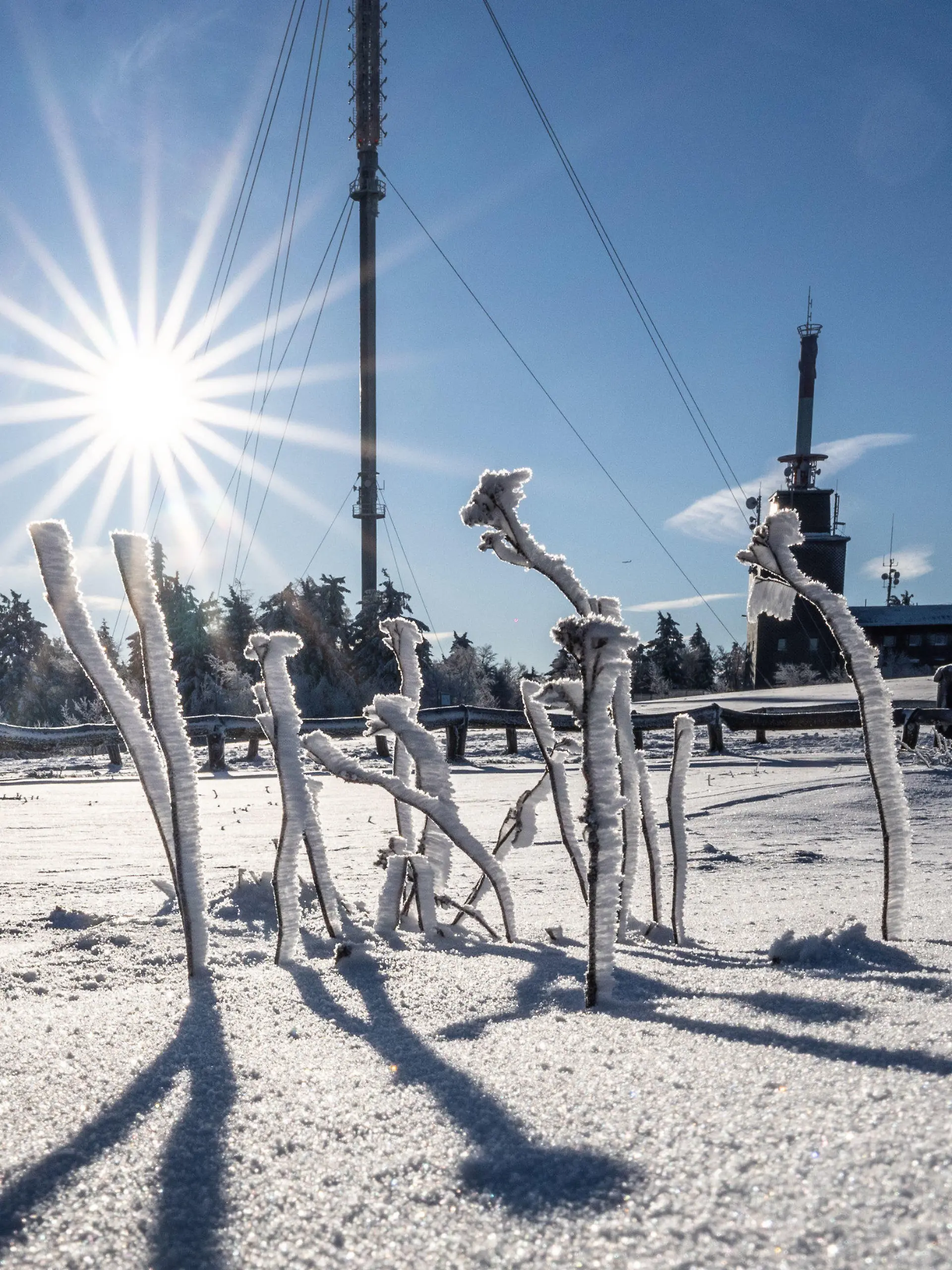 dpatopbilder - 17.01.2023, Hessen, Schmitten: Vom strahlend blauen Himmel scheint die Sonne auf die kleinen Äste auf dem Großen Feldberg im Taunus, die durch Raureif und Schnee bedeckt sind. Foto: Frank Rumpenhorst/dpa +++ dpa-Bildfunk +++