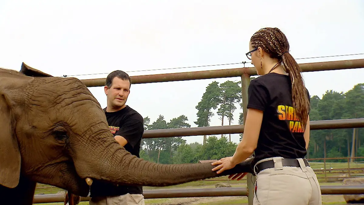 Stefanie Hilger alias Maren Lenz kümmert sich mit Tierpfleger Oliver Kant um fünf afrikansiche Elefanten.