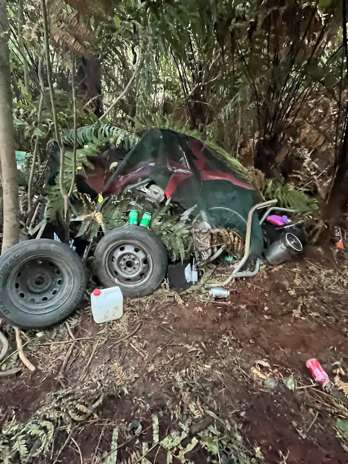Camp von Tom Phillips und seinen Kindern in Neuseeland 