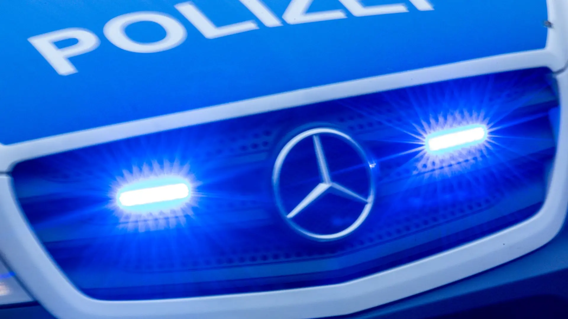 Die Polizei hatte es in Frankenthal mit einem besonders kuriosen Einsatz zutun. (Symbolbild)