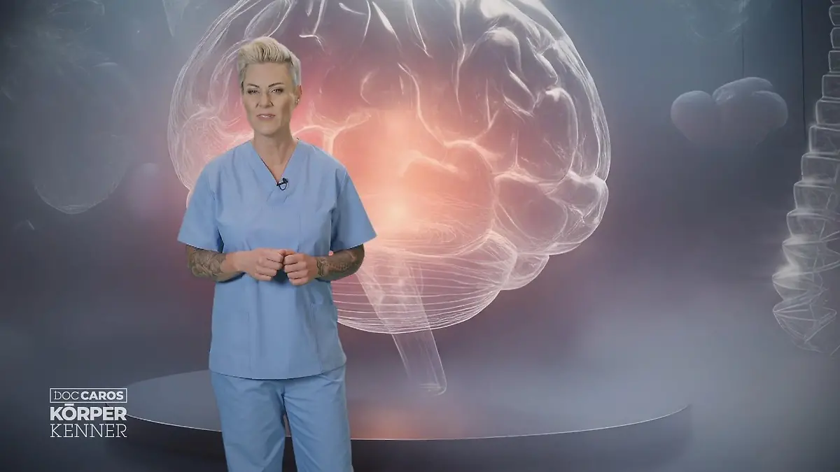 Start der Rubrik Was im Köpfchen Neue Rubrik