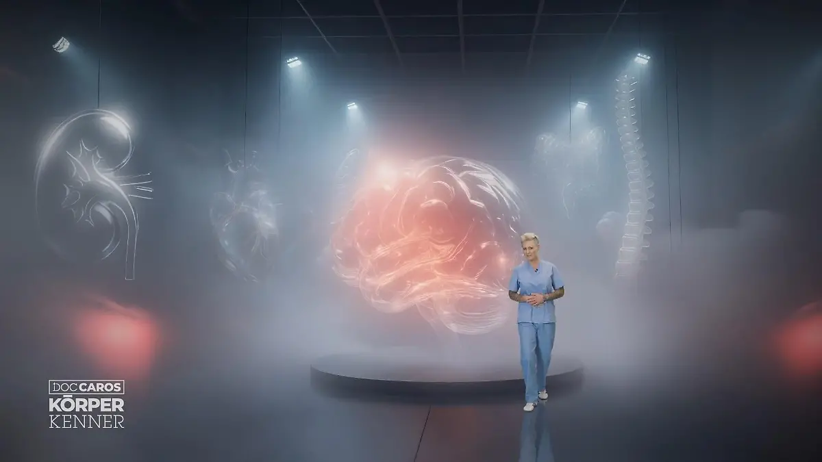 Die Rubrik Das zweite Gehirn beginnt Neue Kategorie