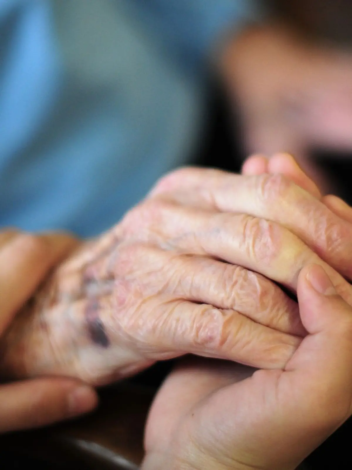 Bild zu: "Pflegegrad 1 könnte wegfallen: Die Angst vor Kürzungen wächst"