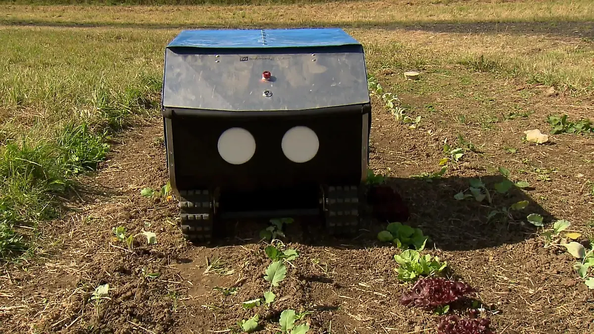 Unternehmer aus dem Münsterland entwickelt Unkraut-Roboter Kampf gegen Personalmangel