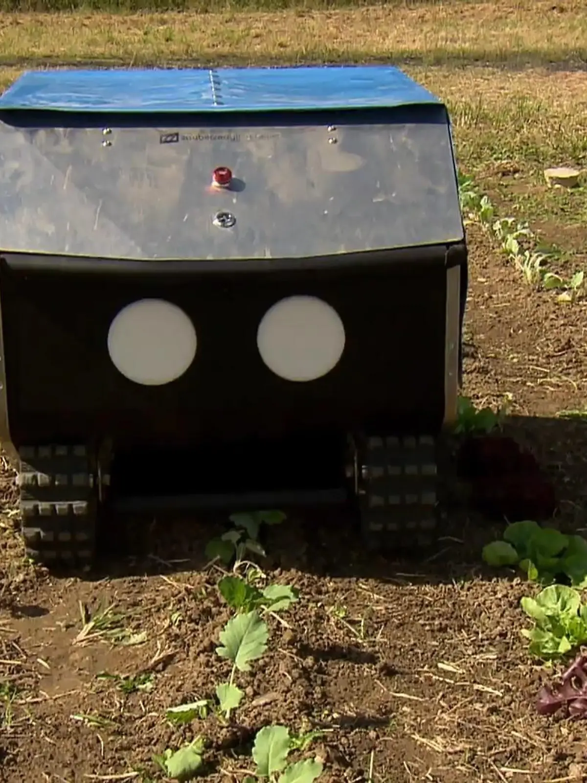 Bild zu: "Unternehmer aus dem Münsterland entwickelt Unkraut-Roboter"