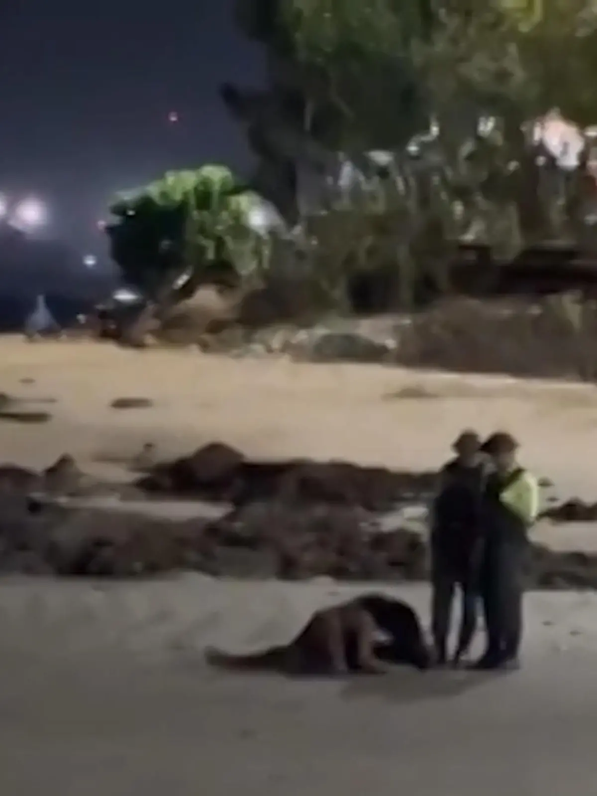 Bild zu: "Was für ein (Wellen-)Ritt! Polizei stoppt Pärchen-Liebesspiel am Strand"