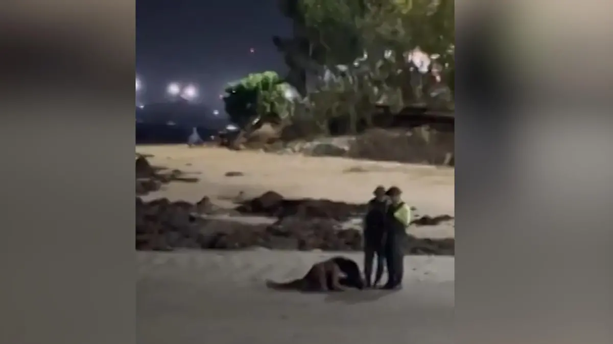 Was für ein (Wellen-)Ritt! Polizei stoppt Pärchen-Liebesspiel am Strand Blaulicht statt Mondlicht!