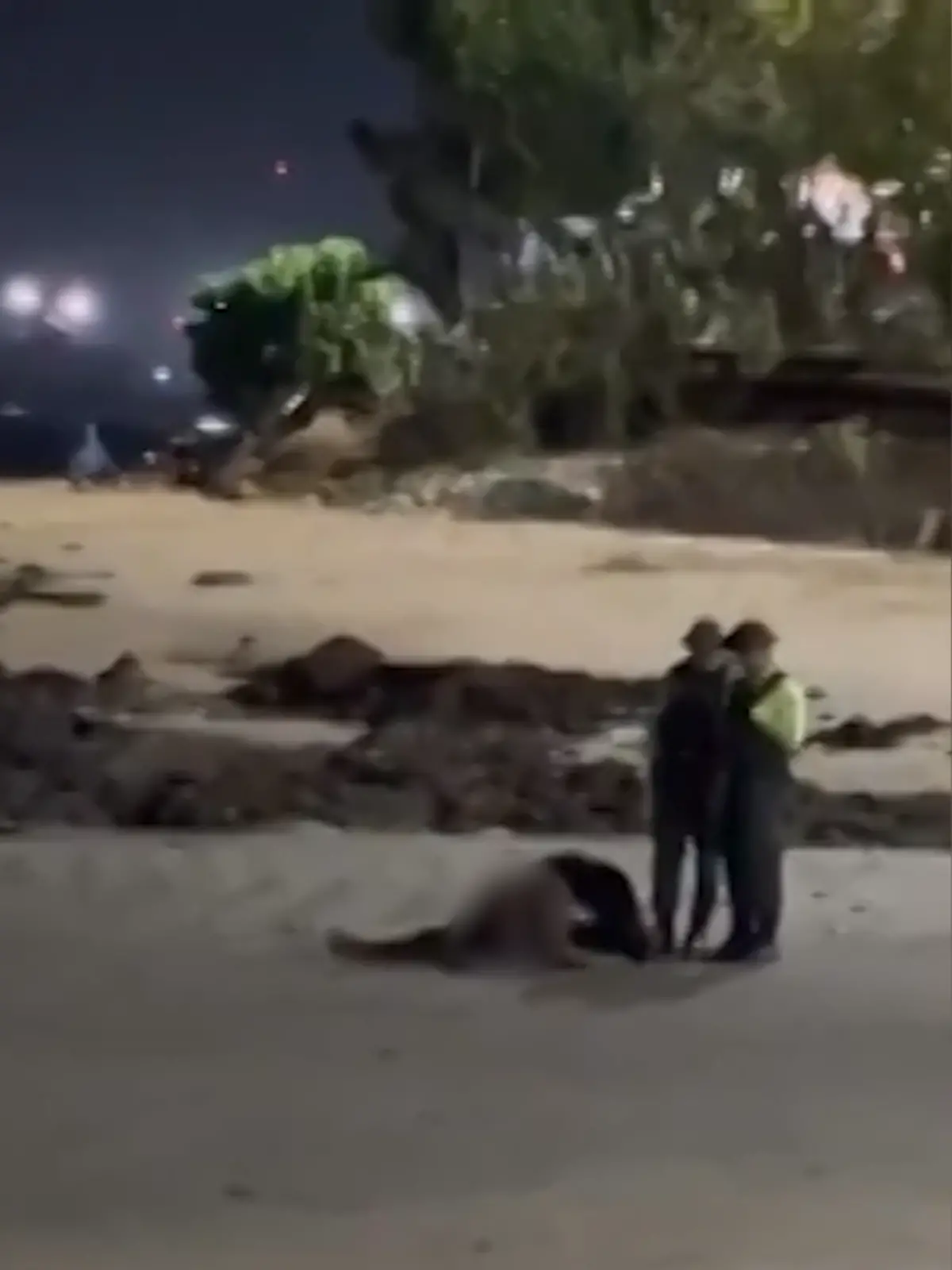 Bild zu: "Was für ein (Wellen-)Ritt! Polizei stoppt Pärchen-Liebesspiel am Strand"