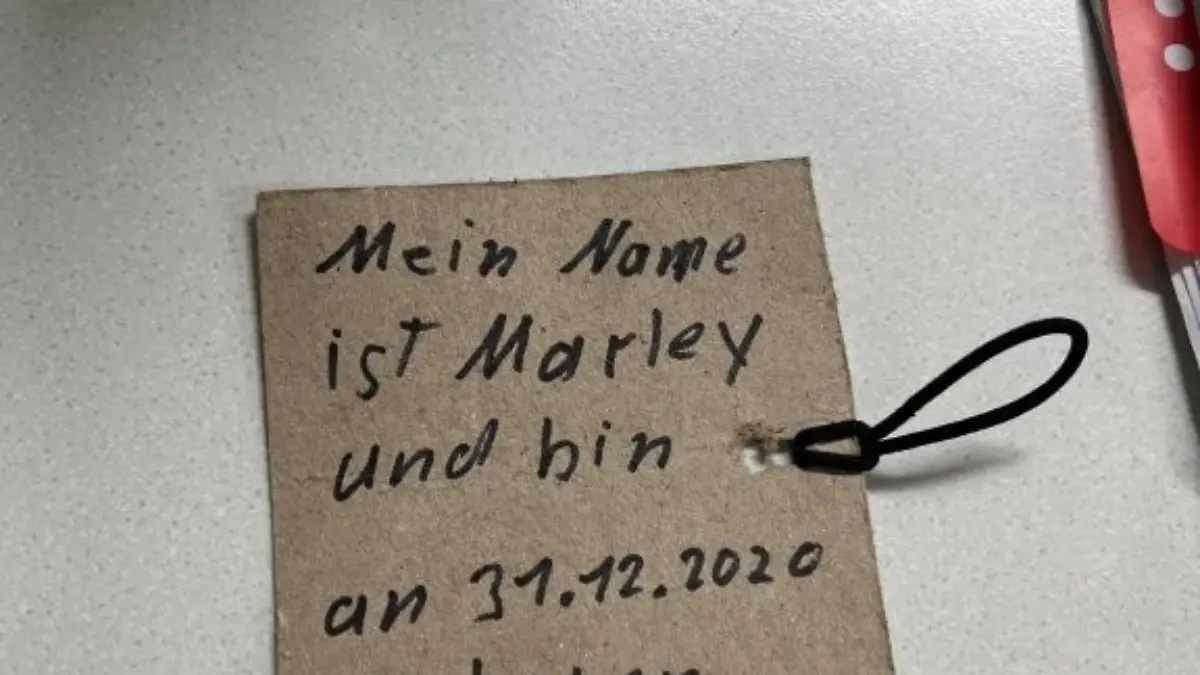 Dieser Zettel wurde zusammen mit dem Hund abgegeben.