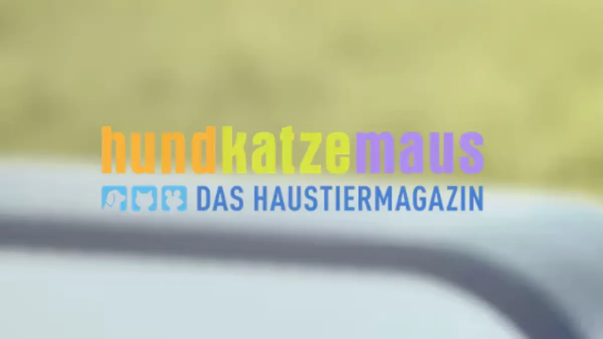 hundkatzemaus - Das Haustiermagazin
