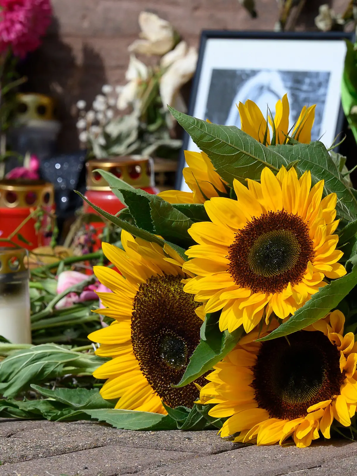 Aktionstag gegen Hass und Hetze in Friedland
