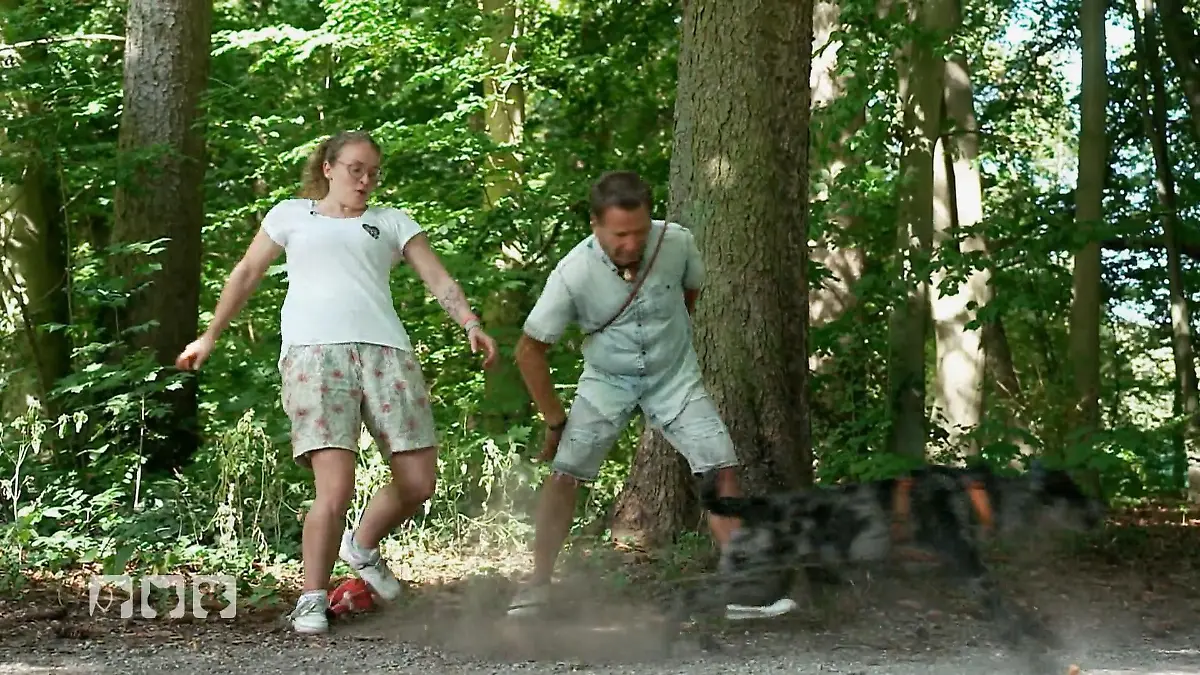 Kate Kitchenham begleitet Hundebesizter beim Training Ist der Hundeführerschein sinnvoll?