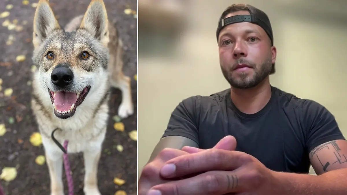 Wolfshund-Mischling Nanouk hatte schon ein neues Zuhause bei Hundetrainer Michael Helm – doch die Behörden ließen ihn trotzdem einschläfern.