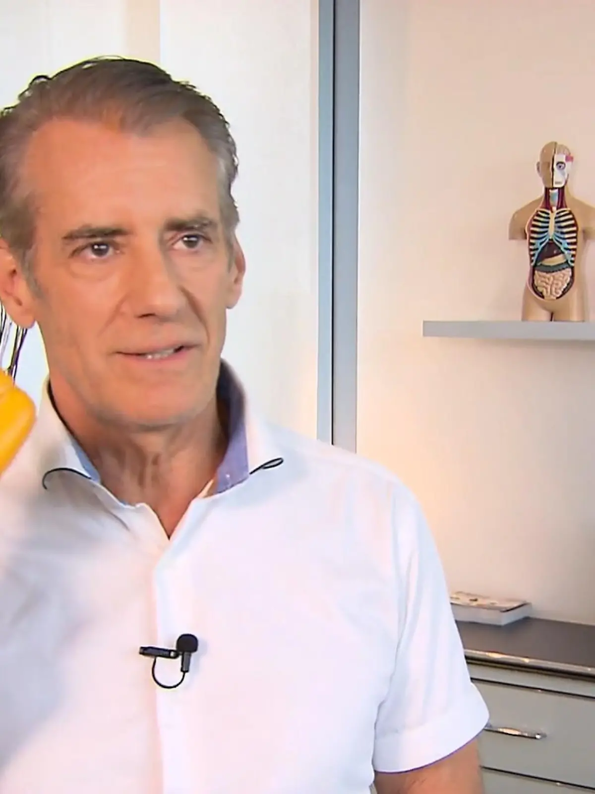Bild zu: "Diese Immunbooster halten Krankheitserreger fern"