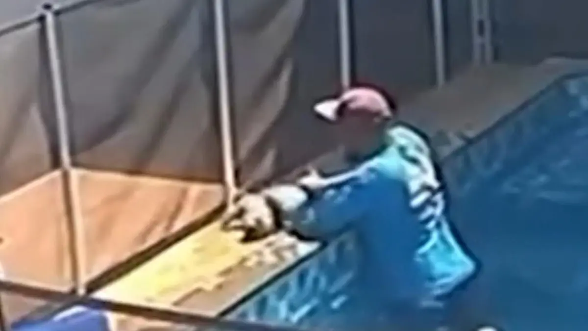 Blinder Hund liegt bewusstlos im Becken! Poolboy wird zum Lebensretter „Es war eine Herzensangelegenheit”