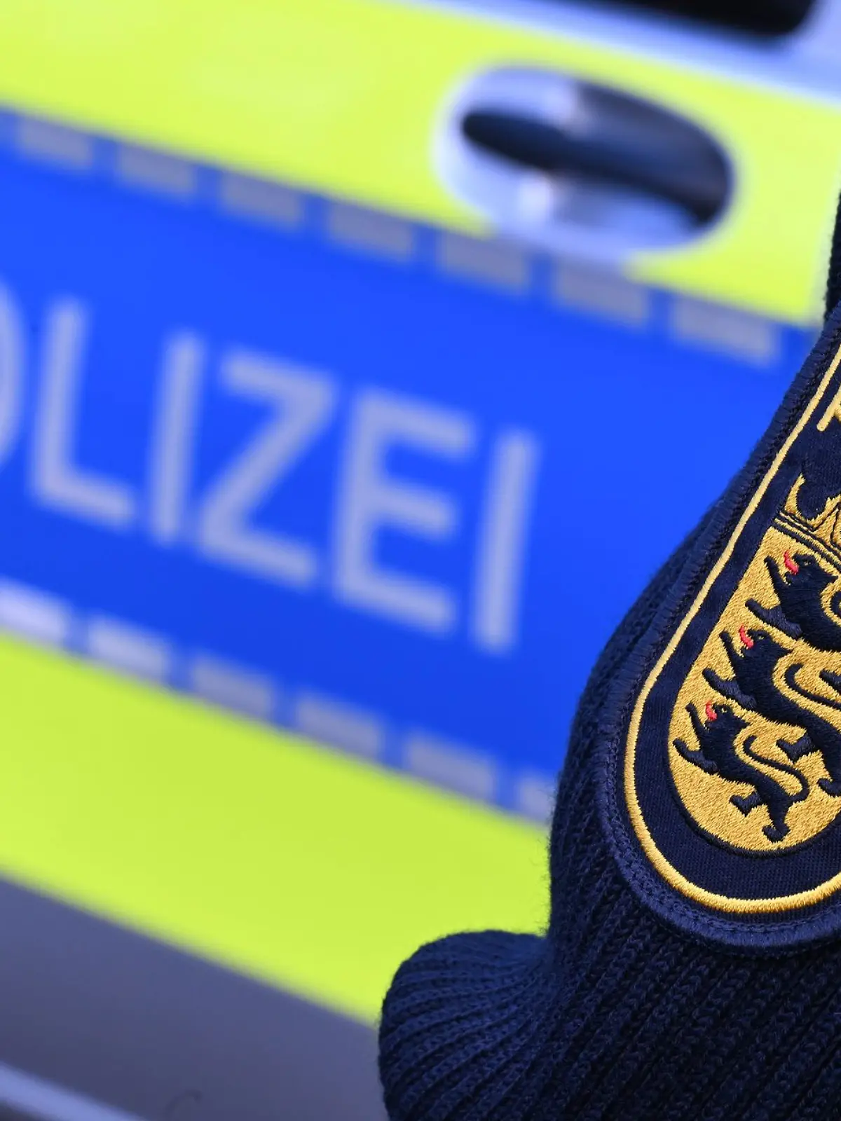 Bild zu: "Betrunkener Kutscher attackiert Polizei – Pferd bricht zusammen"