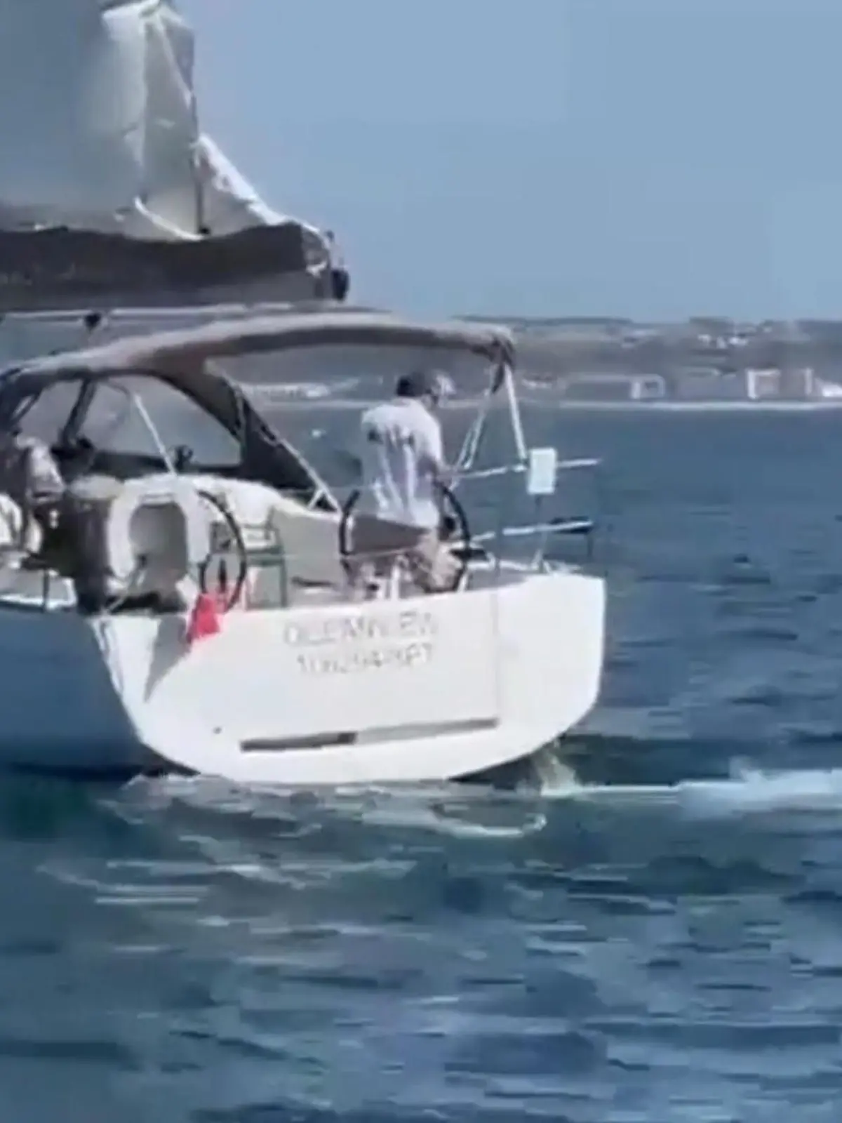 Bild zu: "Orcas bringen Segelboot zum Kentern"