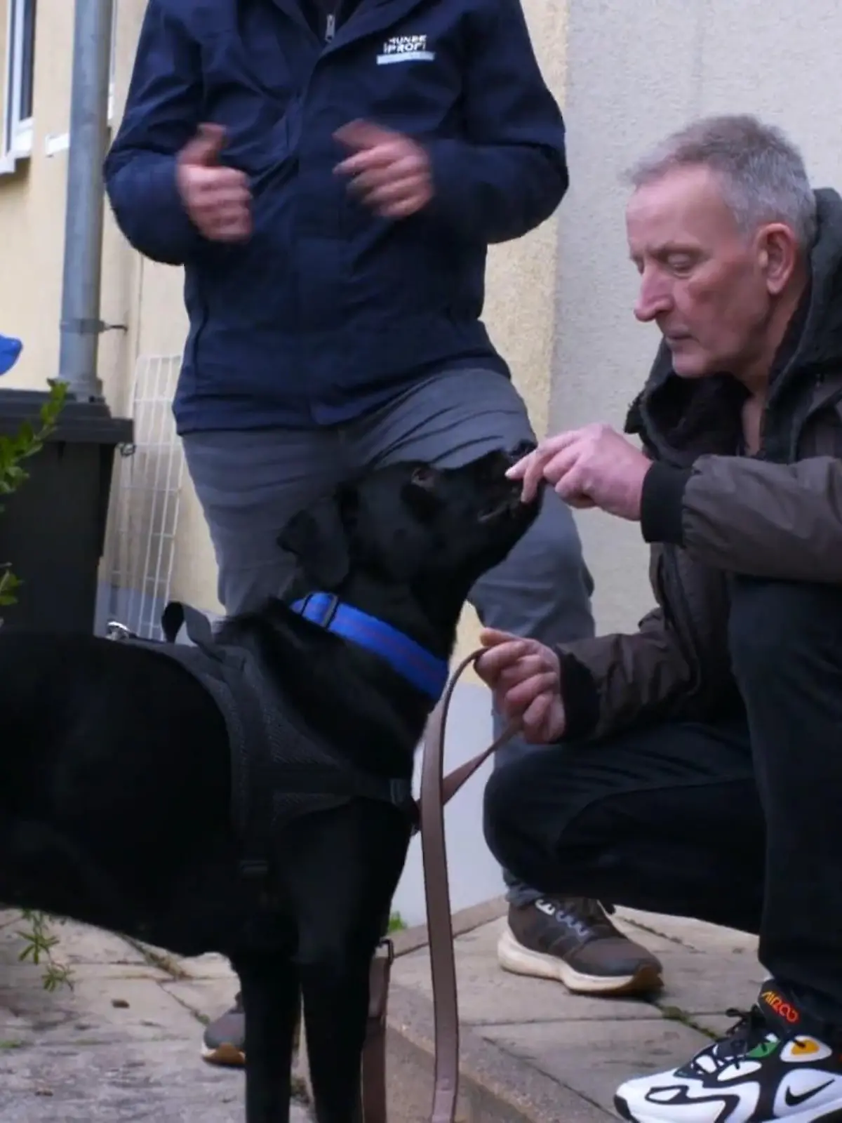 Bild zu: "Jetzt greift Hundetrainer Marcel Wunderlich ein"
