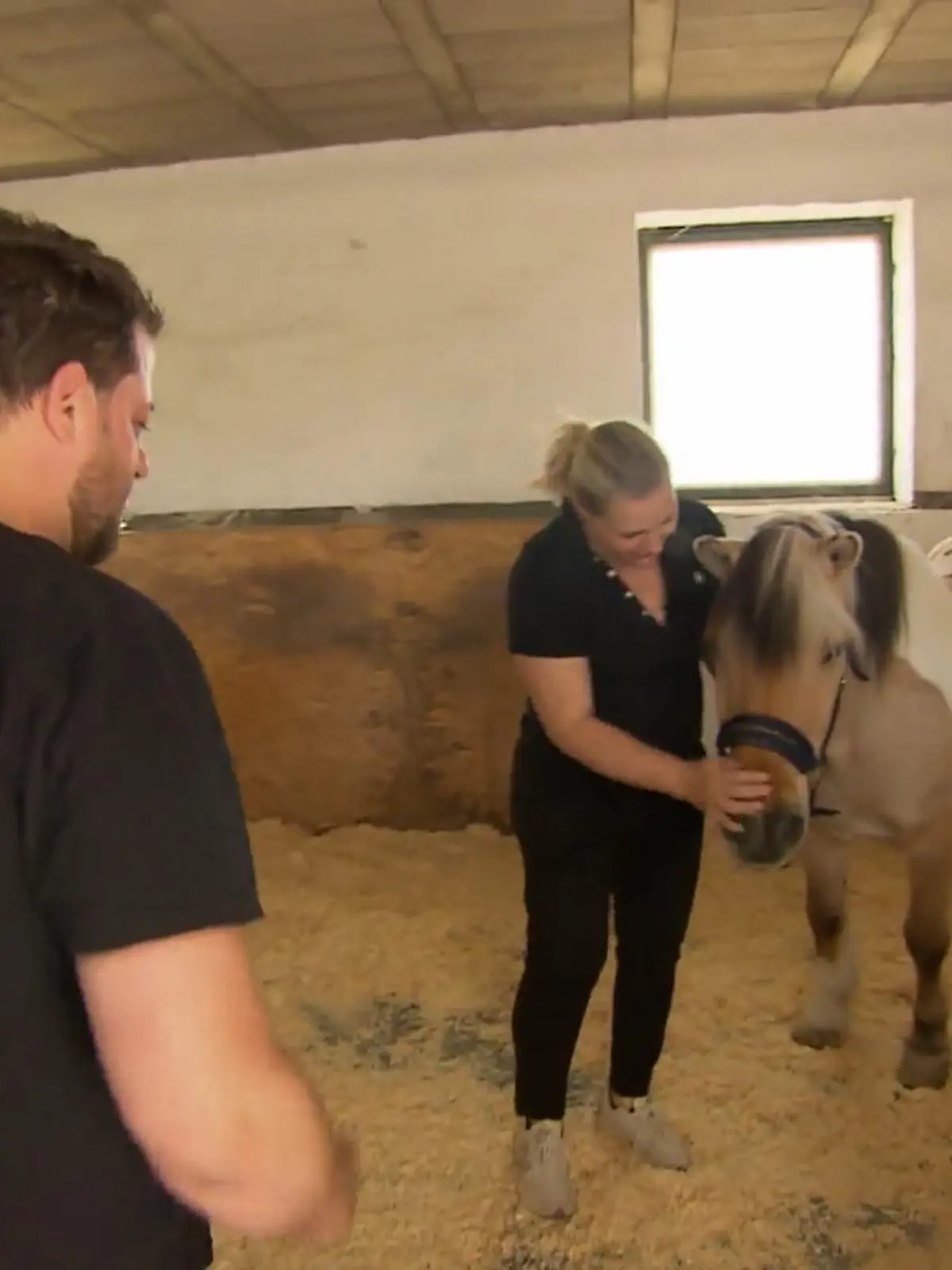 Bild zu: "Sorgen um Pferd Burli"