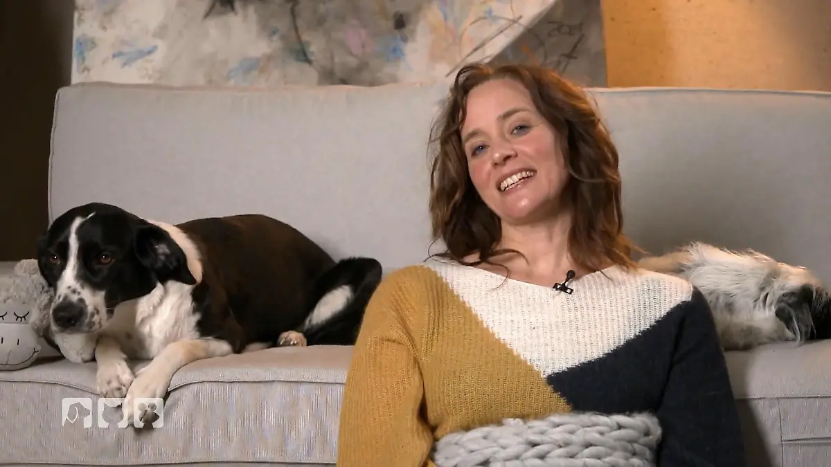 Kate Kitchenham zeigt die Top 5 für glückliche Hunde Von Bindung bis Ruhezeit