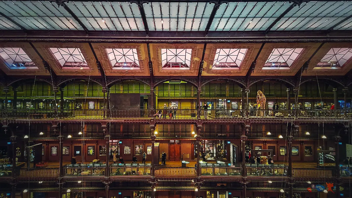 Das Innere des Pariser Museums für Naturgeschichte.