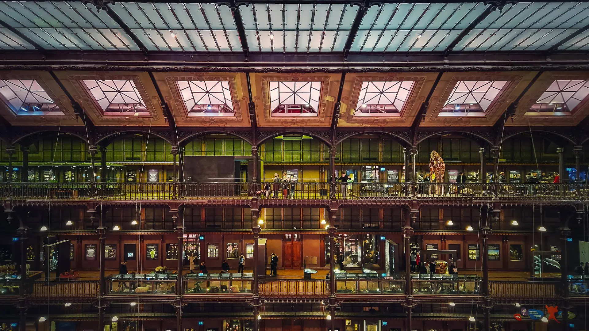 Das Innere des Pariser Museums für Naturgeschichte.