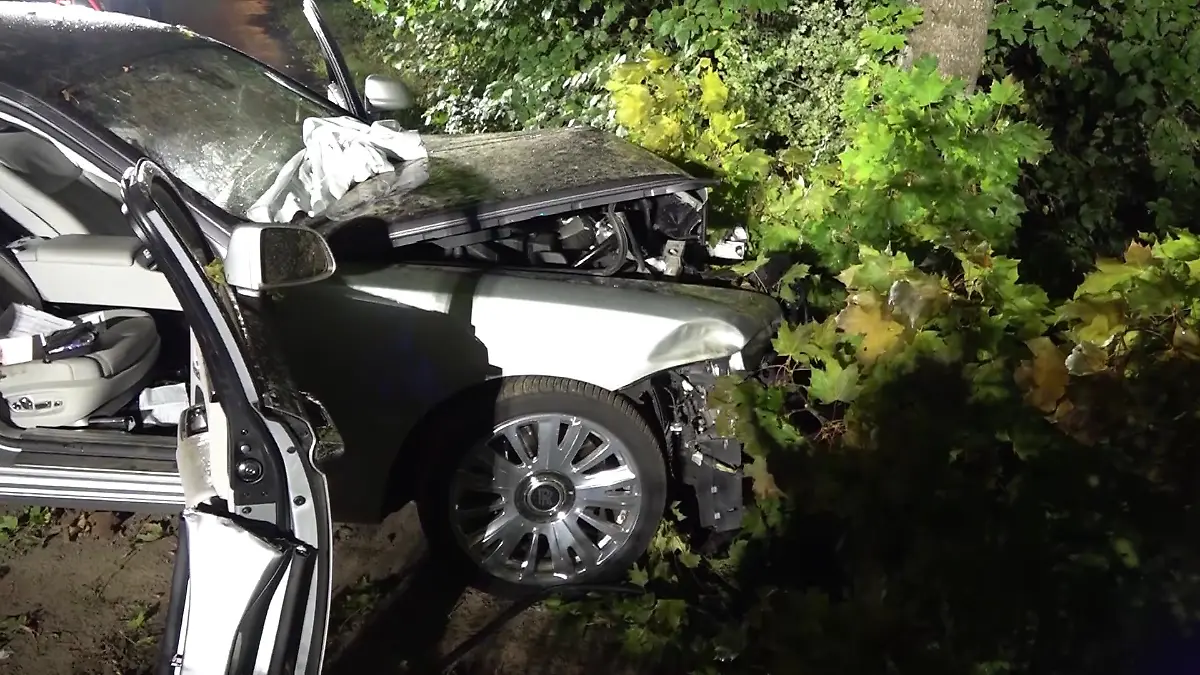 Das Auto ist frontal mit dem Baum zusammengestoßen. 
