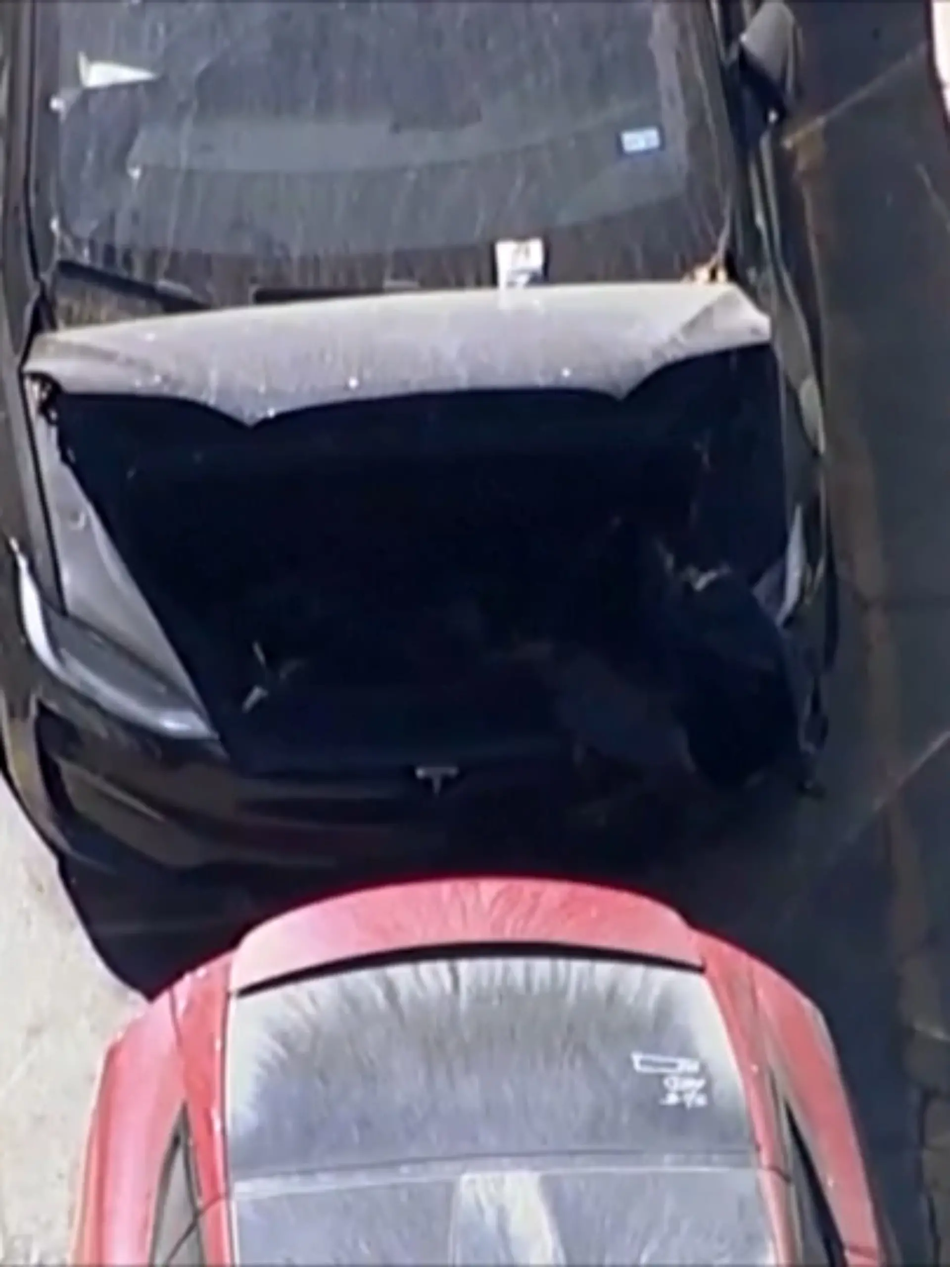 In seinem Tesla finden Ermittler menschliche Überreste, inzwischen ist klar: Es handelt sich um die vermisste Celeste. 