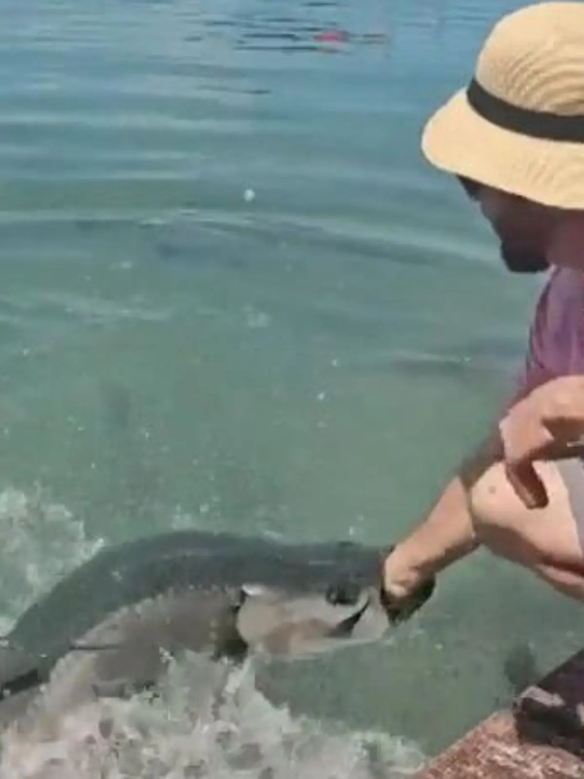 Bild zu: "Wer hat hier wen am Haken? Tollpatsch-Touri wird zu Fischfutter"