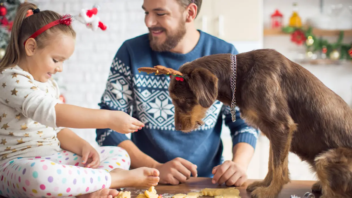 Von diesen leckeren Keksen darf auch Ihr Hund naschen.