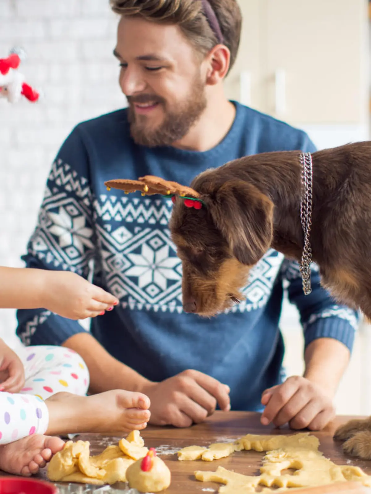 Von diesen leckeren Keksen darf auch Ihr Hund naschen.