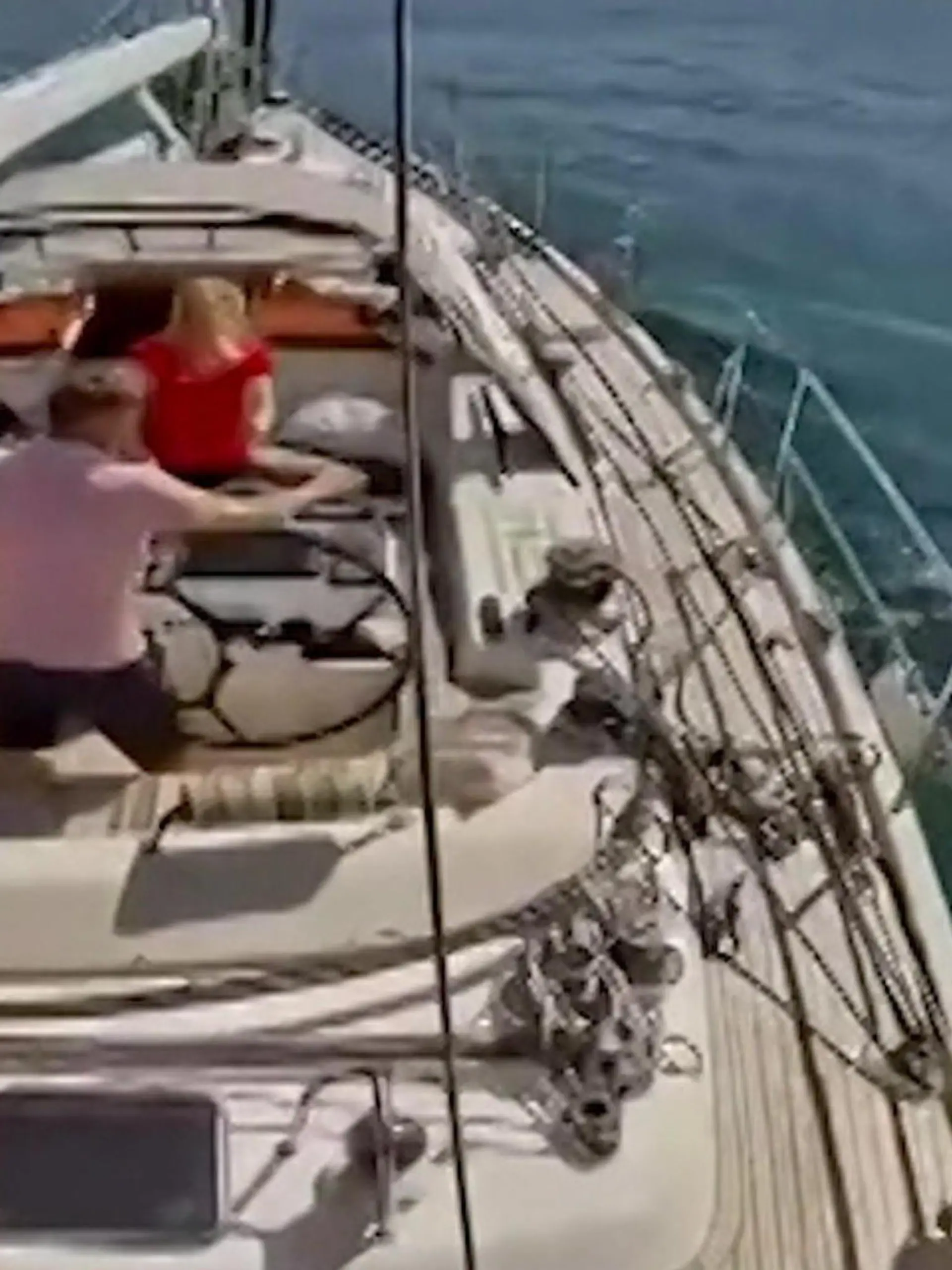 Bild zu: "Seeleute wehren Orca-Angriff ab – dann versenken die Killerwale eine andere Yacht"