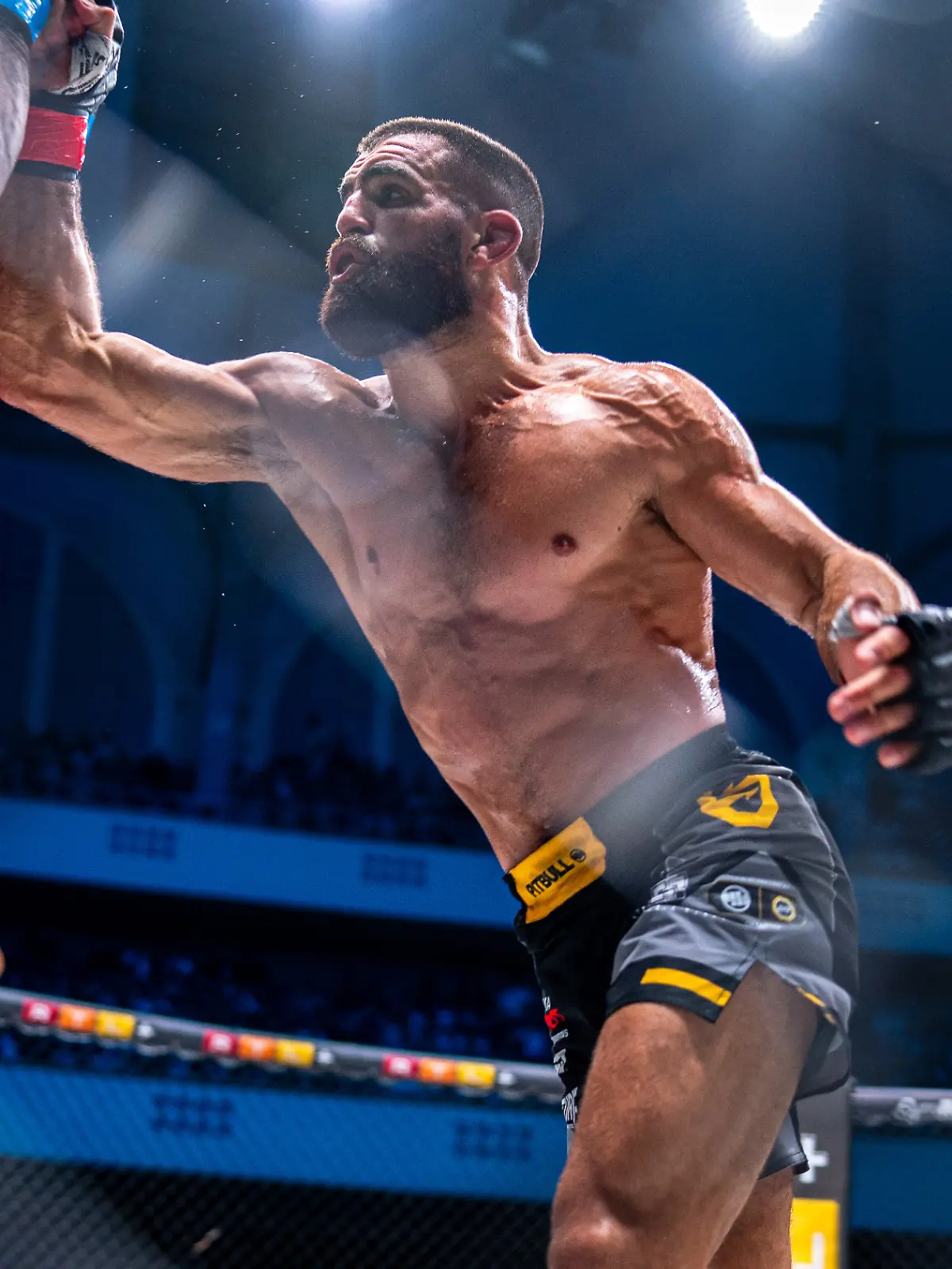Bild zu: "MMA-Legende Weichel siegt bei Comeback!"