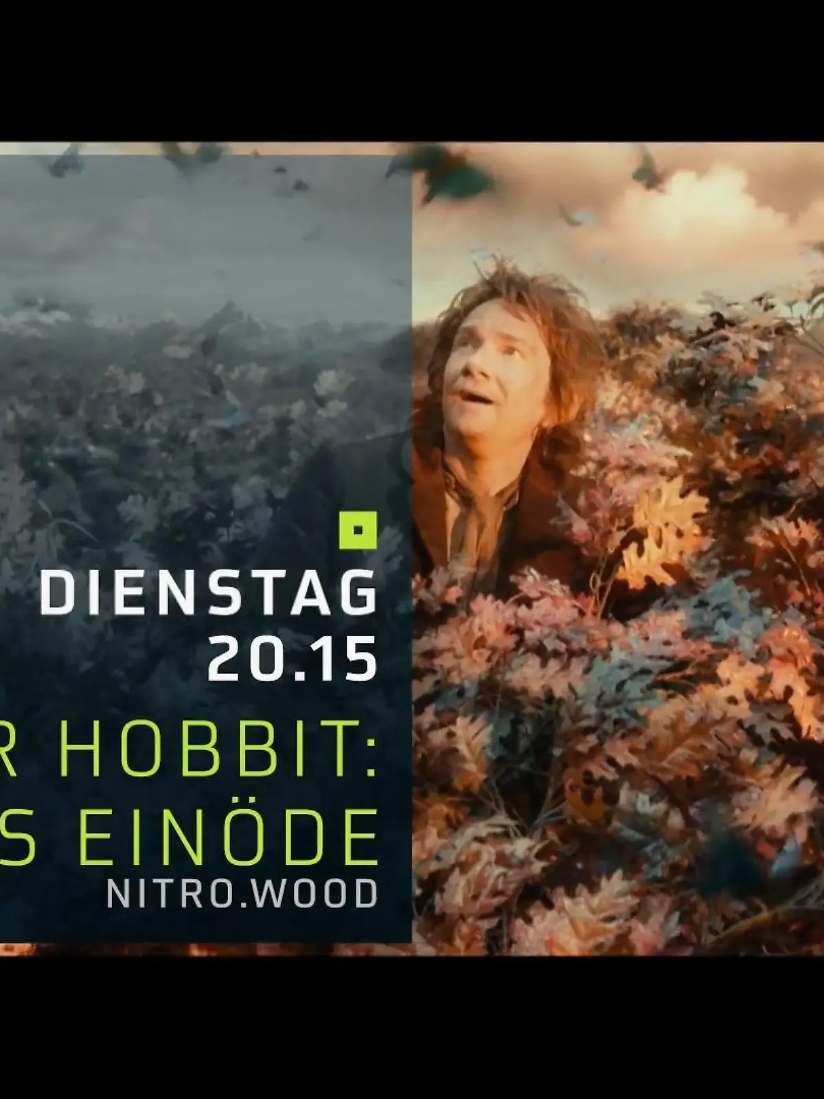 Bild zu: "Der Hobbit - Smaugs Einöde"
